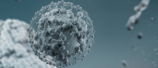 Meet the future of anti-ageing: exosomes explained